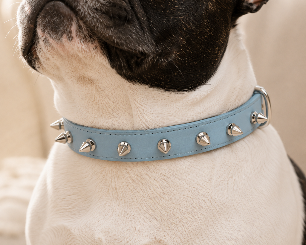 Stylish Spiked Collar-Blue