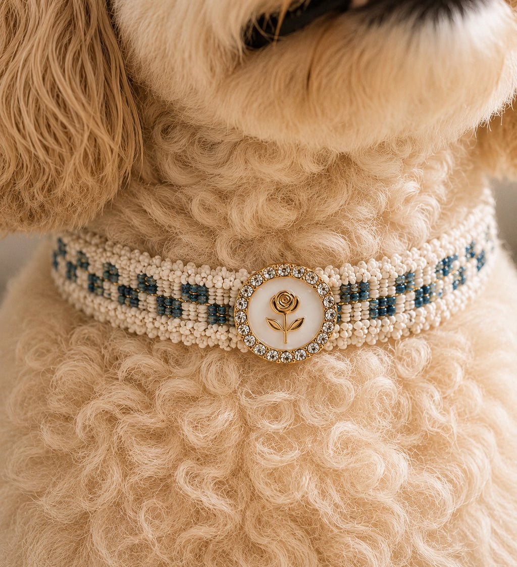 Cloud Rose Collar - White