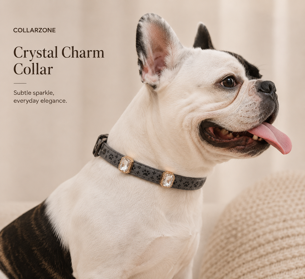 Crystal Charm Collar