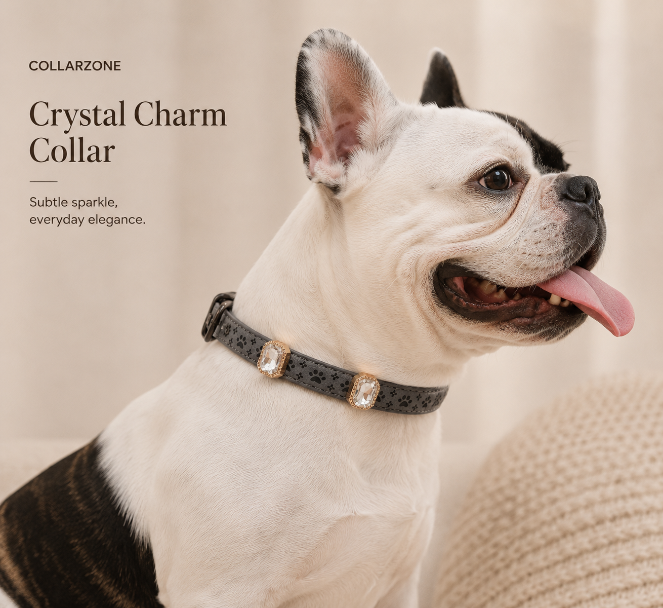 Crystal Charm Collar
