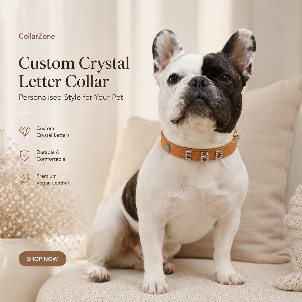 Custom Crystal Letter Collar