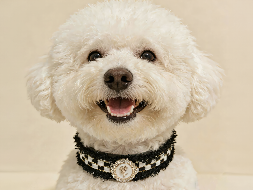 Midnight Rose Luxury Pet Collar with black rose charm and elegant woven design