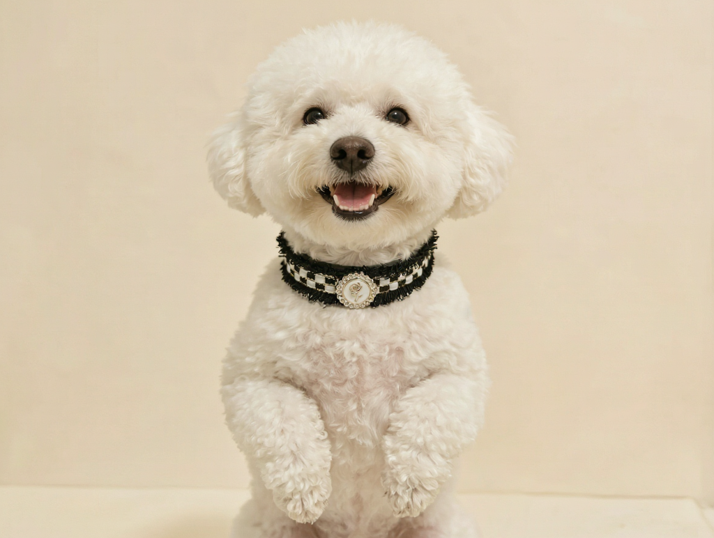 Midnight Rose Luxury Pet Collar
