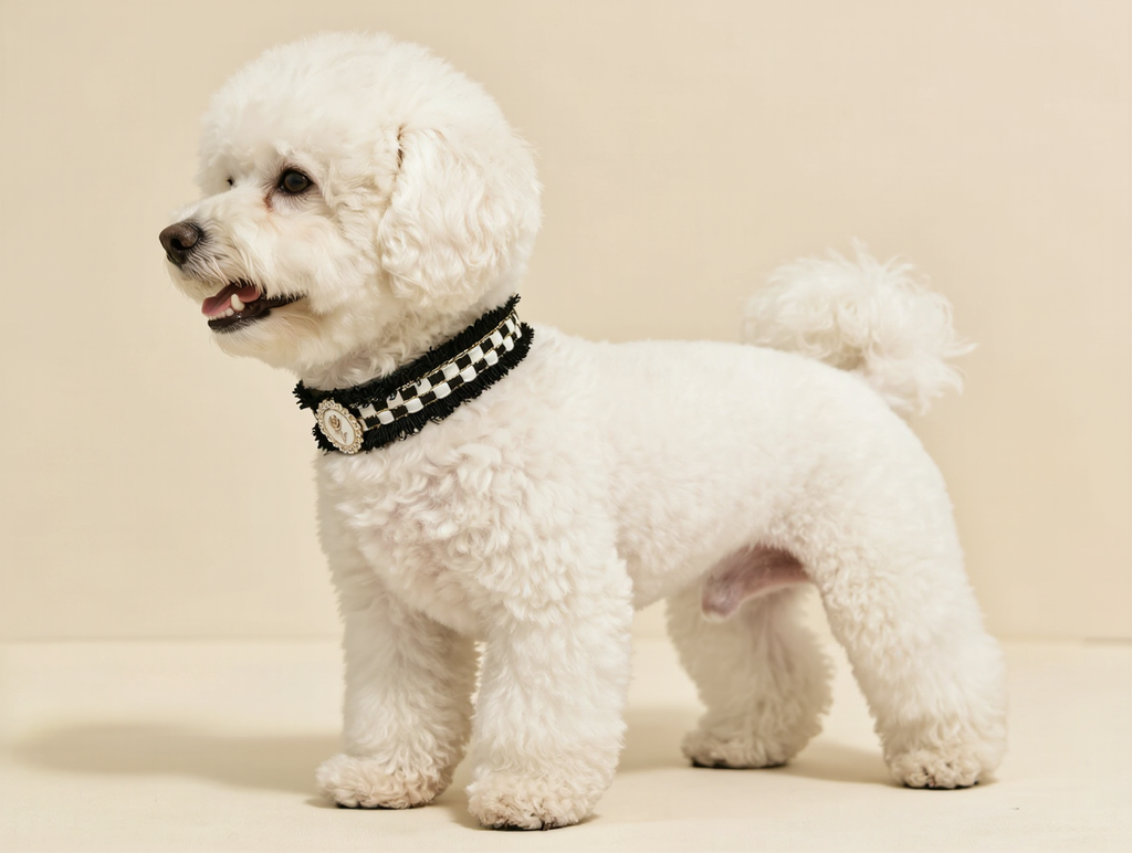 Midnight Rose Luxury Pet Collar