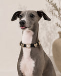 Pearl Heart and Bow Collar with pearl-style accents and dressy pet bow