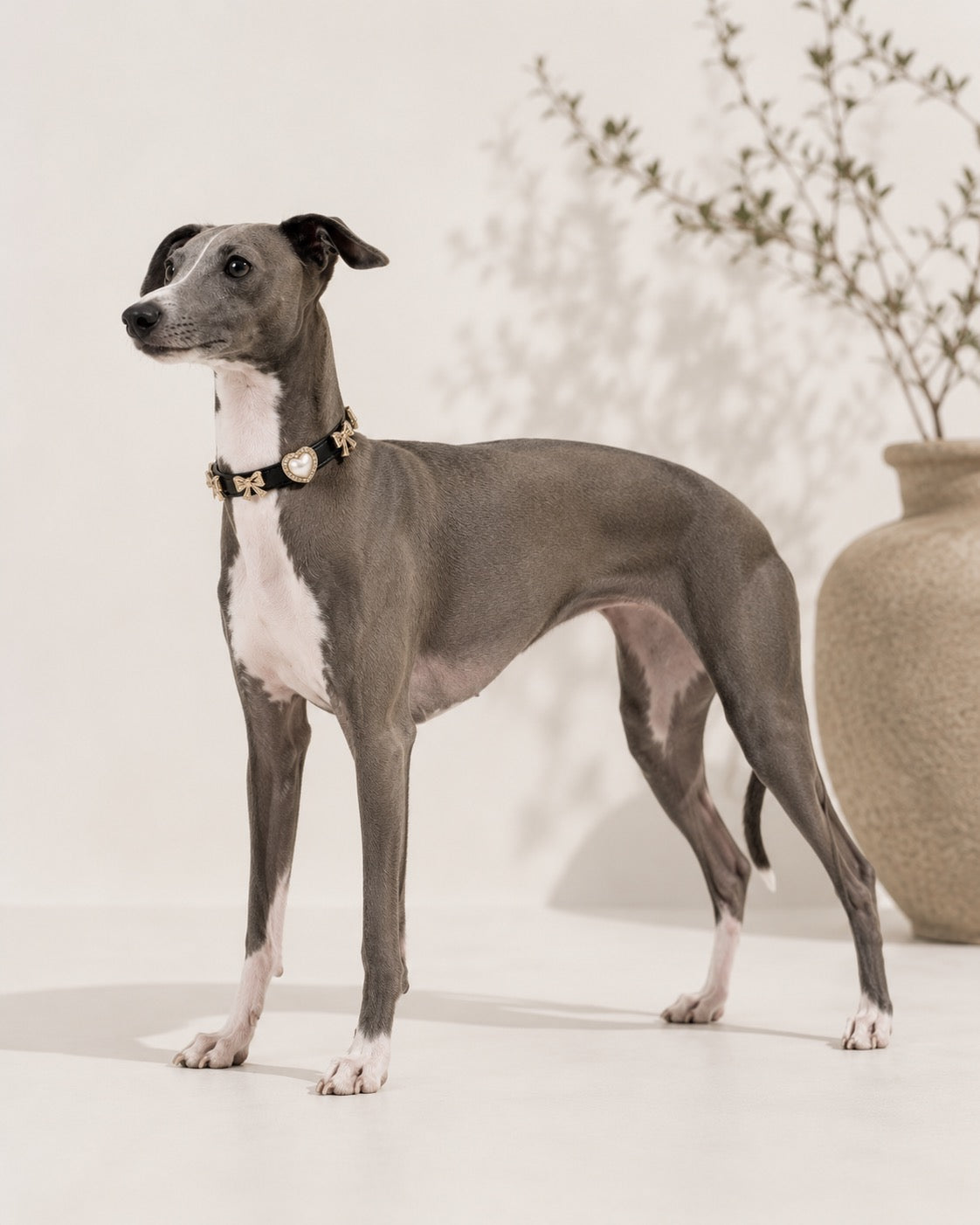 Peal Heart & Bow Collar