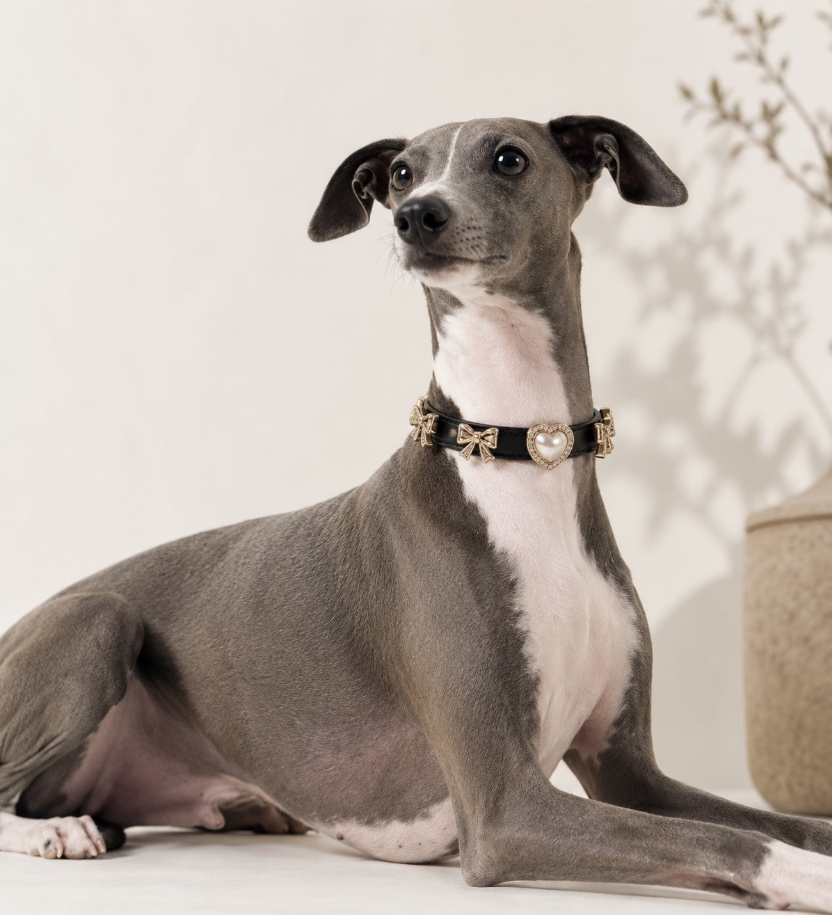 Peal Heart & Bow Collar