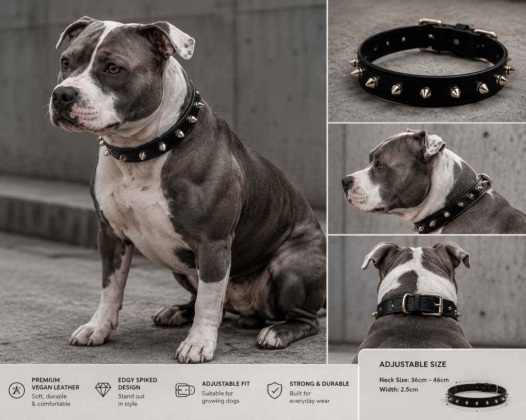 Stylish Spiked collar-Black