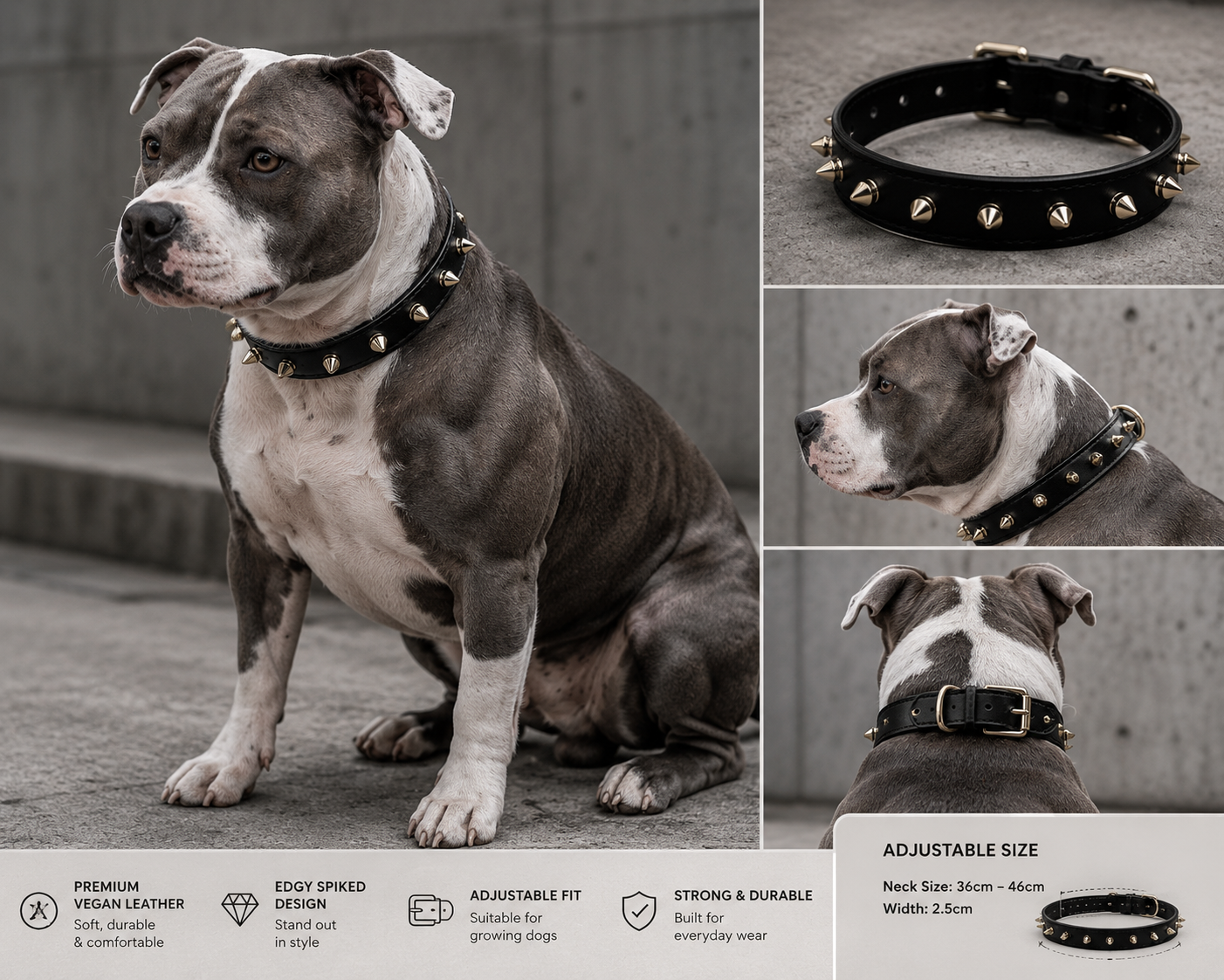 Stylish Spiked collar-Black