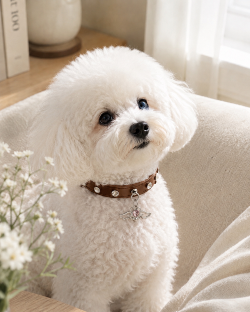 Angel Heart Collar with pink heart pendant and crystal details for cats and small dogs