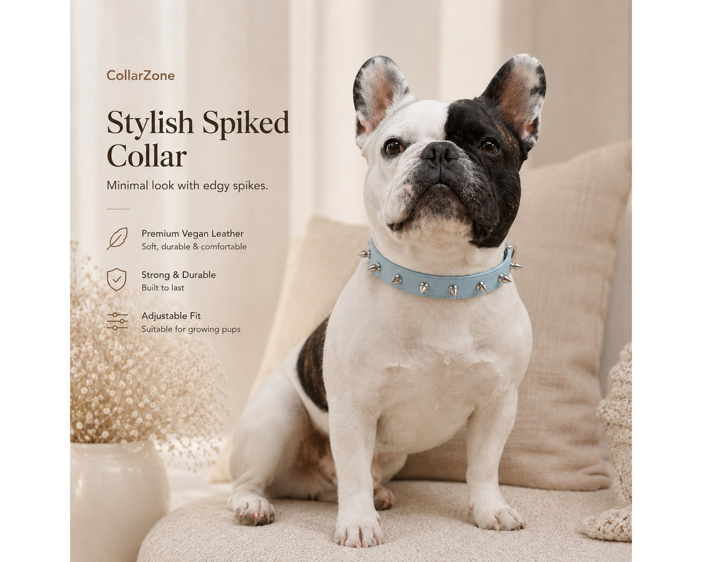 Stylish Spiked Collar-Blue